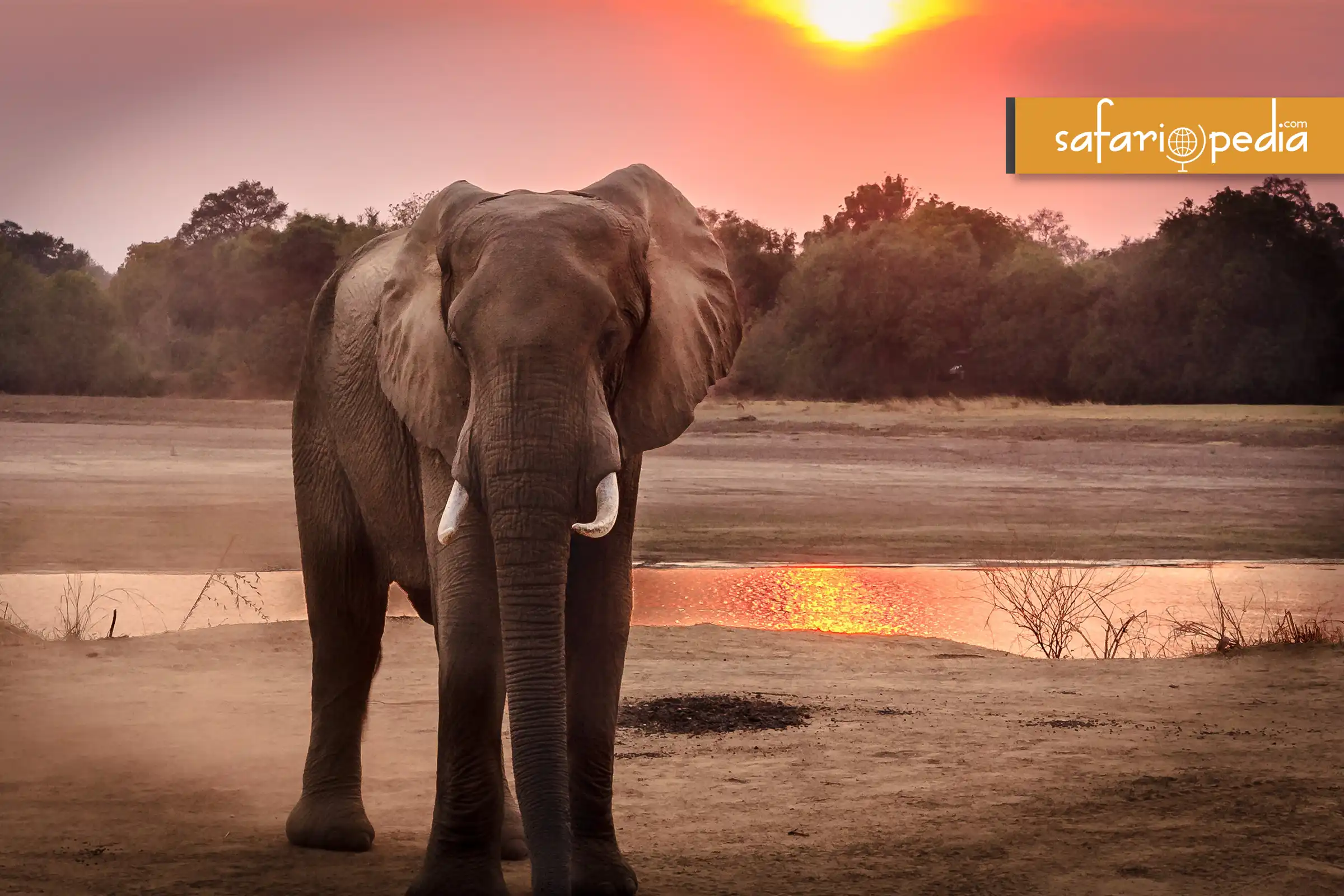 Best 10 Places to Visit in Zimbabwe