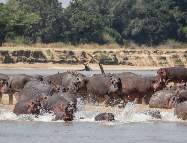 North Luangwa NP