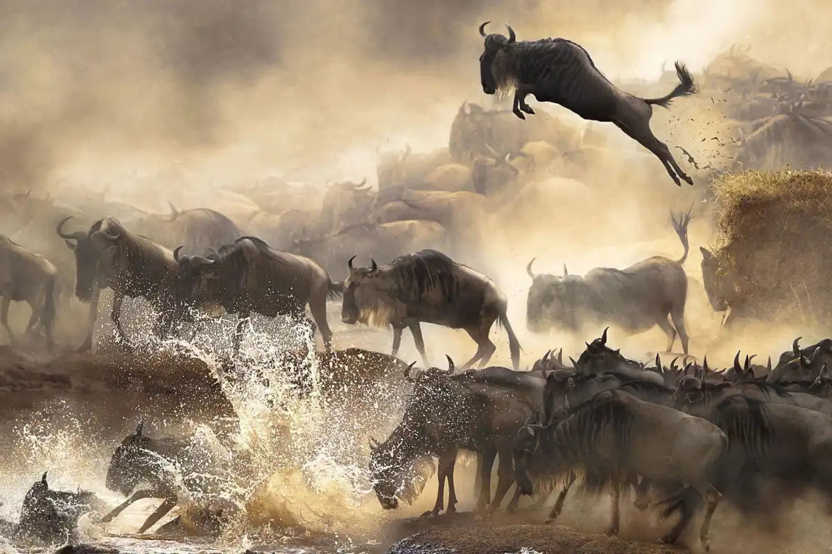 Elephant Trails Safari – 3 Days in Amboseli