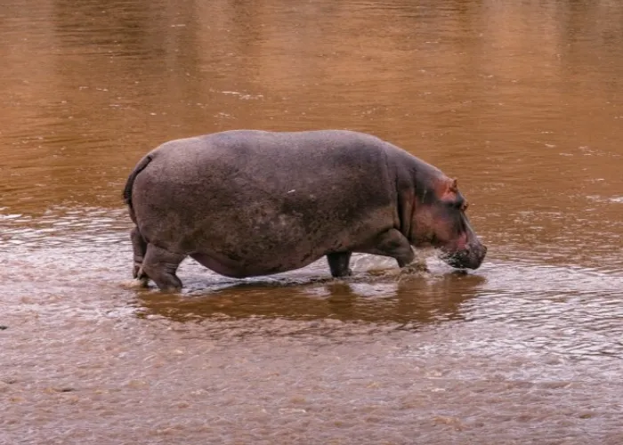 Lake Turkana NP