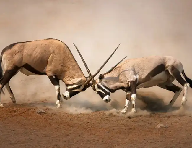 Malka Mari National Park