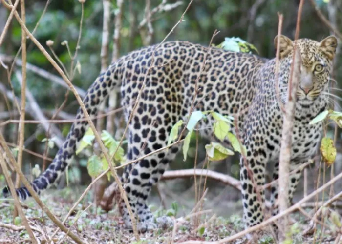 Marsabit National Park