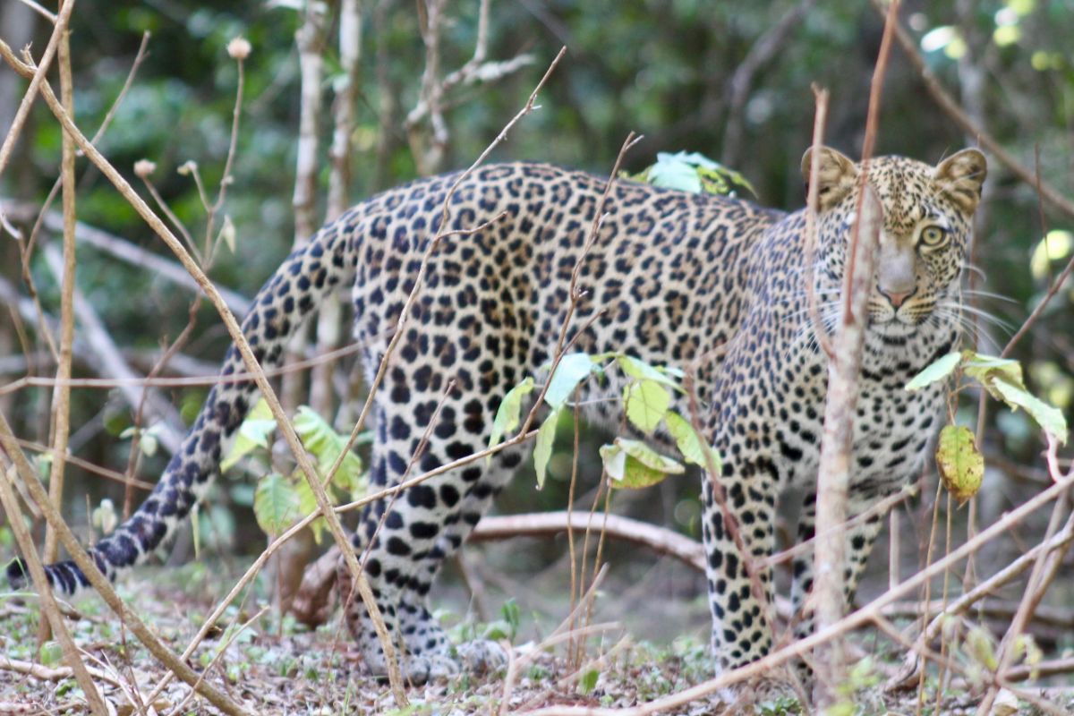 3 Days Private Safari on a Budget