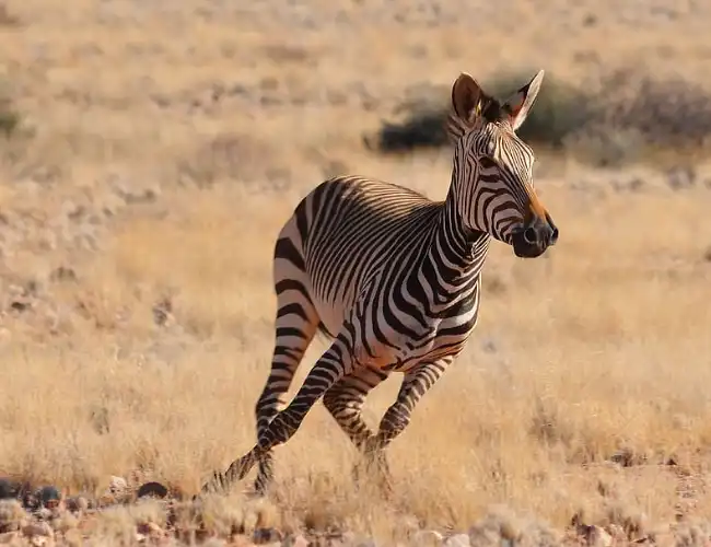 Mount Longonot National Park