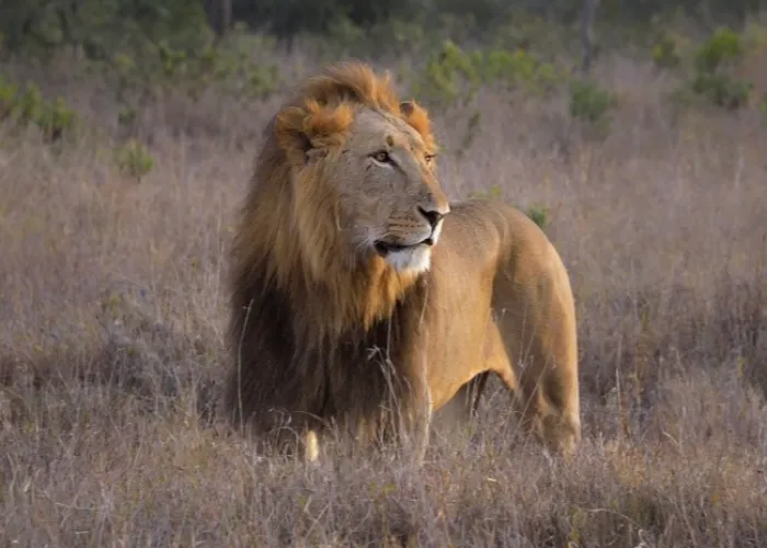 Ol Pejeta Conservancy