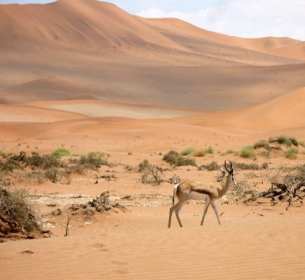 Namibia safaris and destinations
