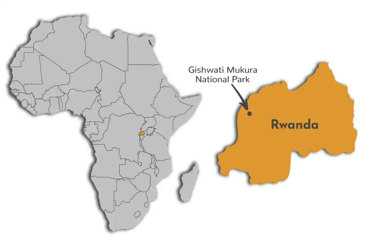 Gishwati Mukura National Park map