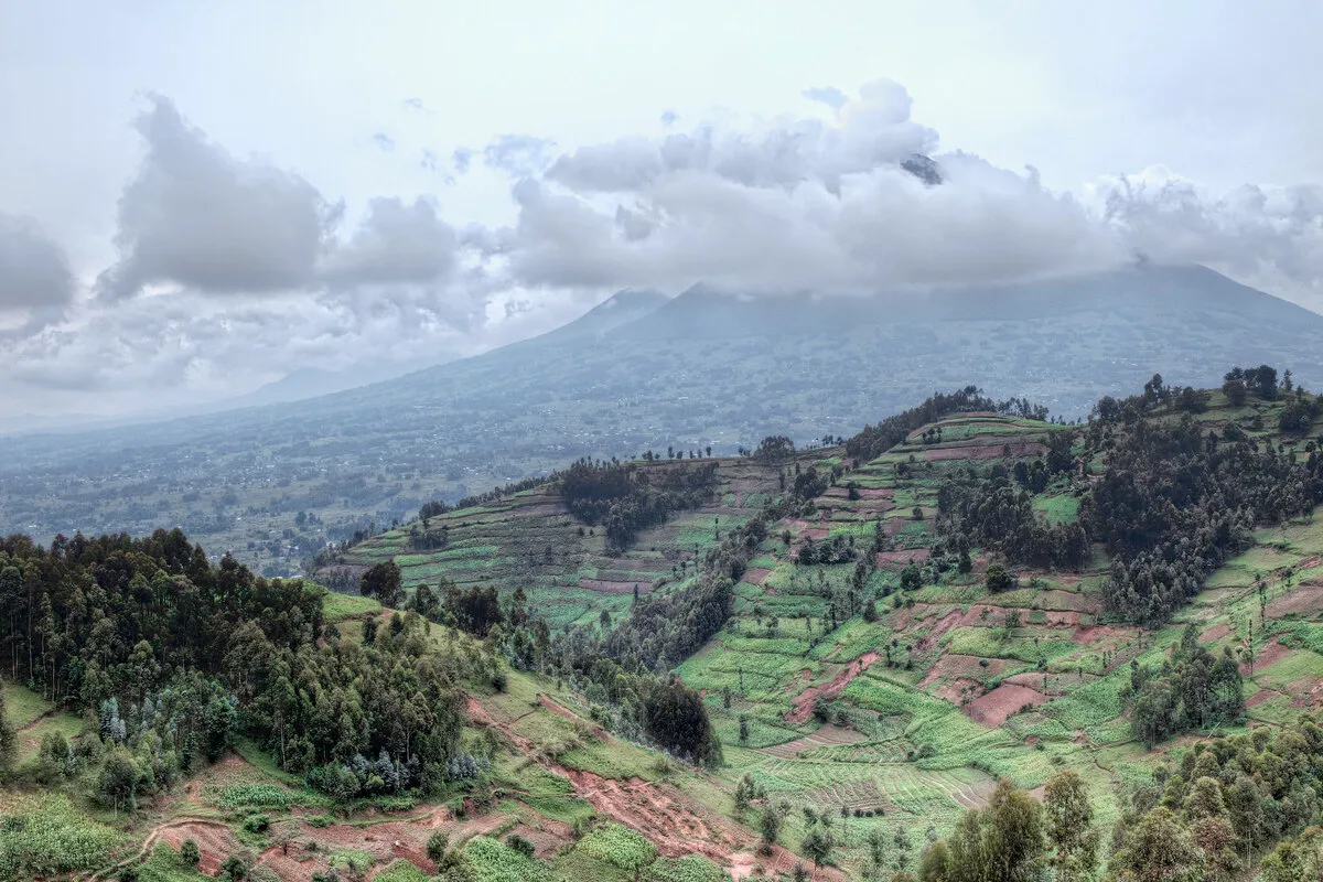  4 Days Rwanda Ultimate Gorilla Trek Tour