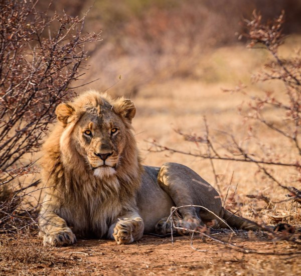 South Africa safaris and destinations