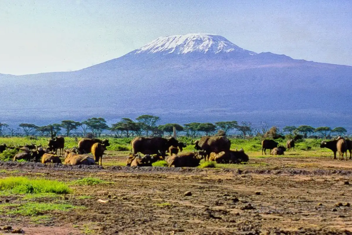 KILIMANJARO MOUNTAIN CLIMB - MACHAME ROUTE ITINERARY.