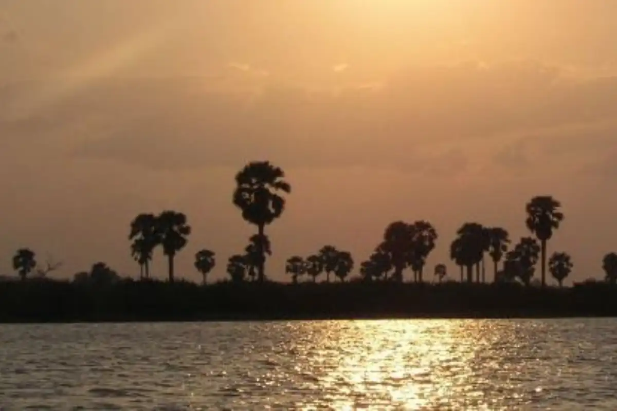 Nyerere and Zanzibar Safari