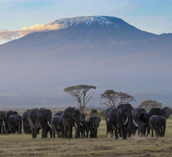 Tanzania safaris and destinations