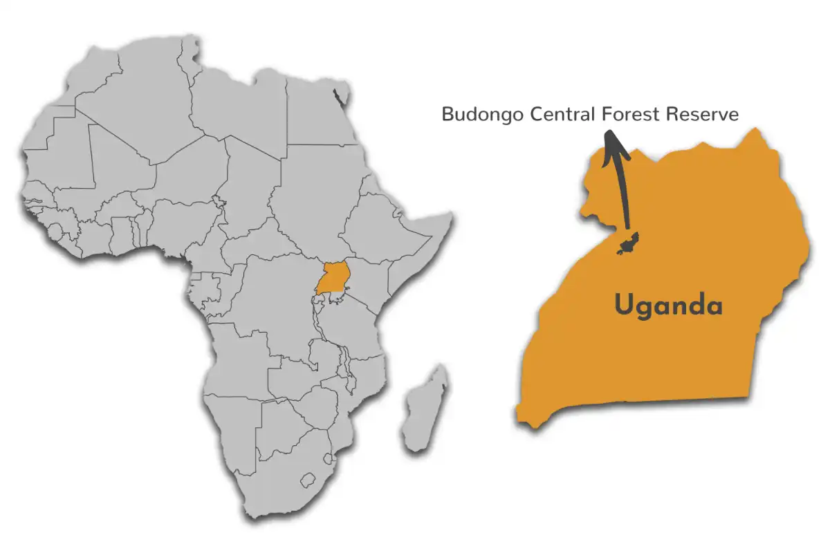 Budongo Central Forest Reserve map