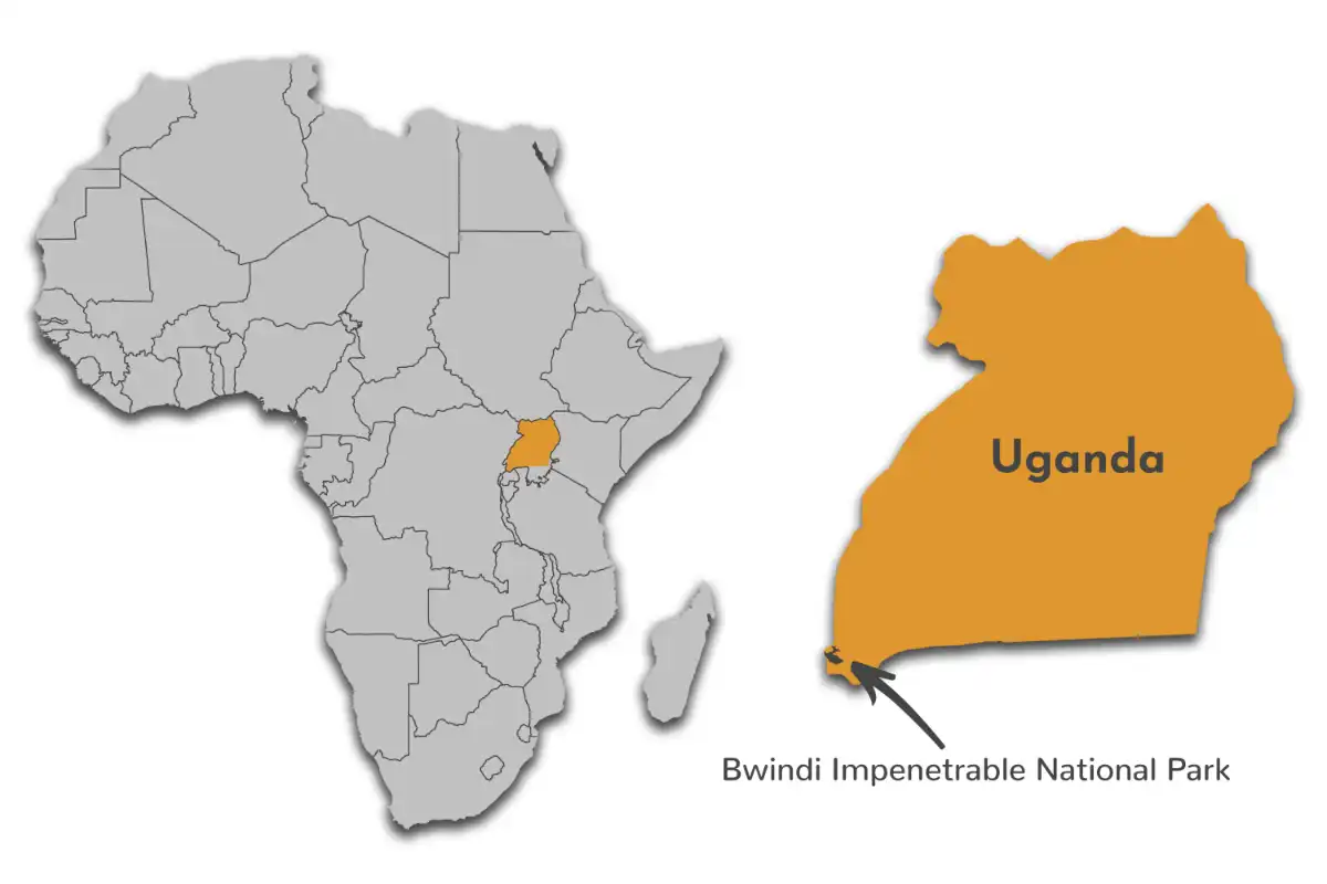 Bwindi Impenetrable NP map