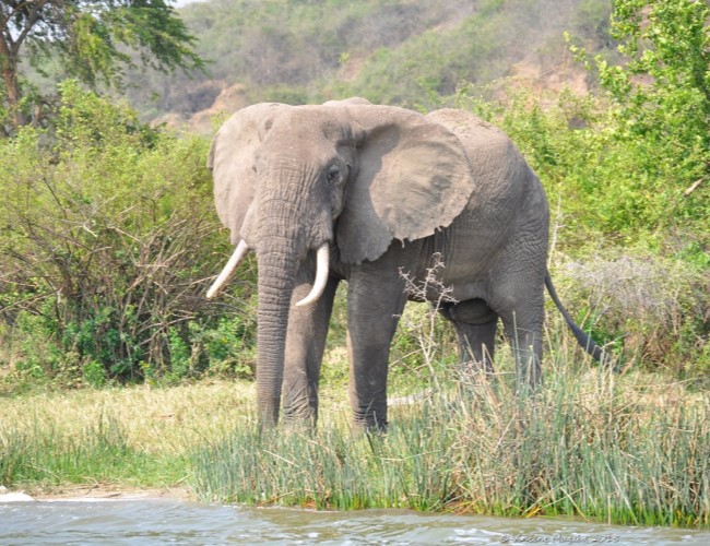 Lake Mburo National Park
