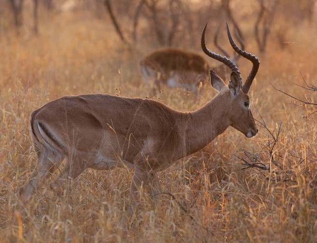 Chizarira National Park