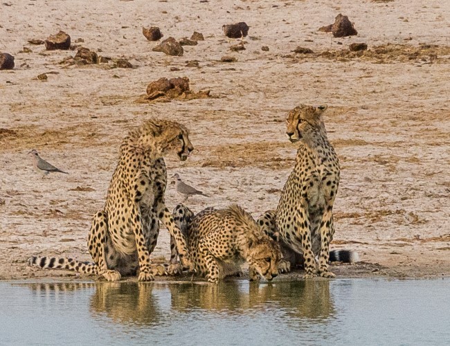Hwange National Park