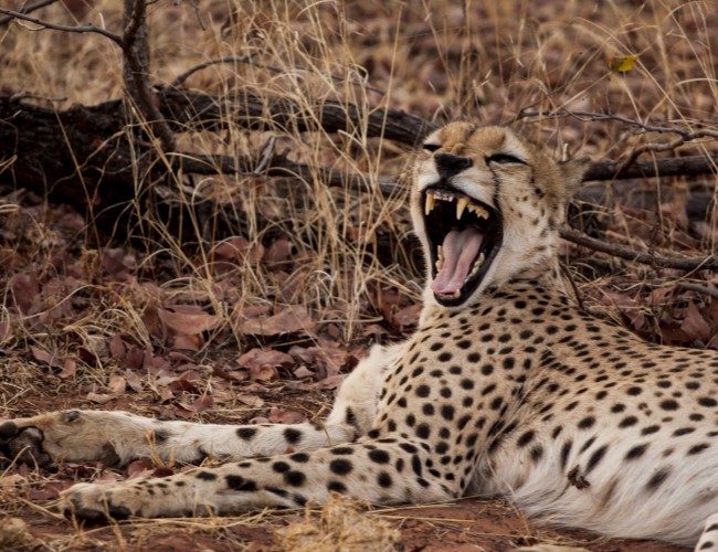 Matusadona National Park