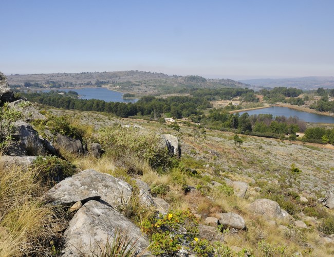 Nyanga National Park