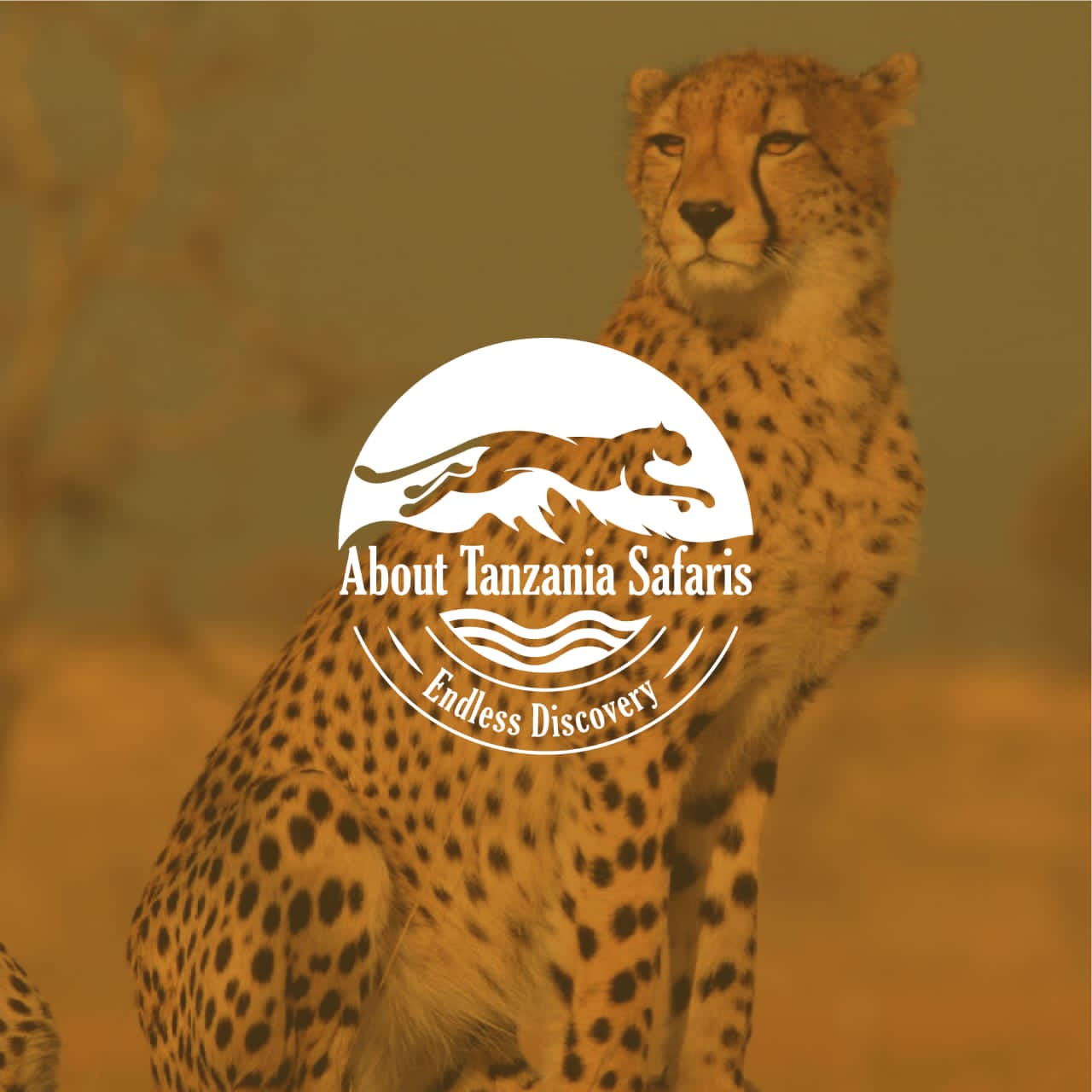 About Tanzania Safaris 