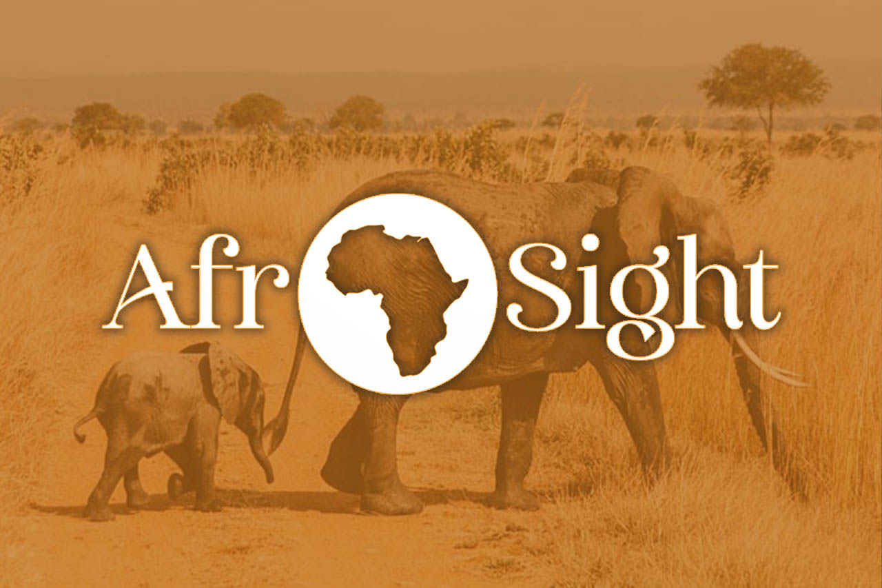 Afrosight