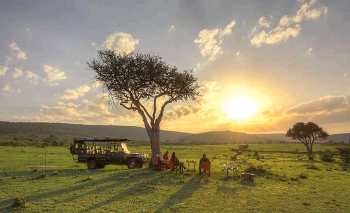 Alphadean tours and safaris