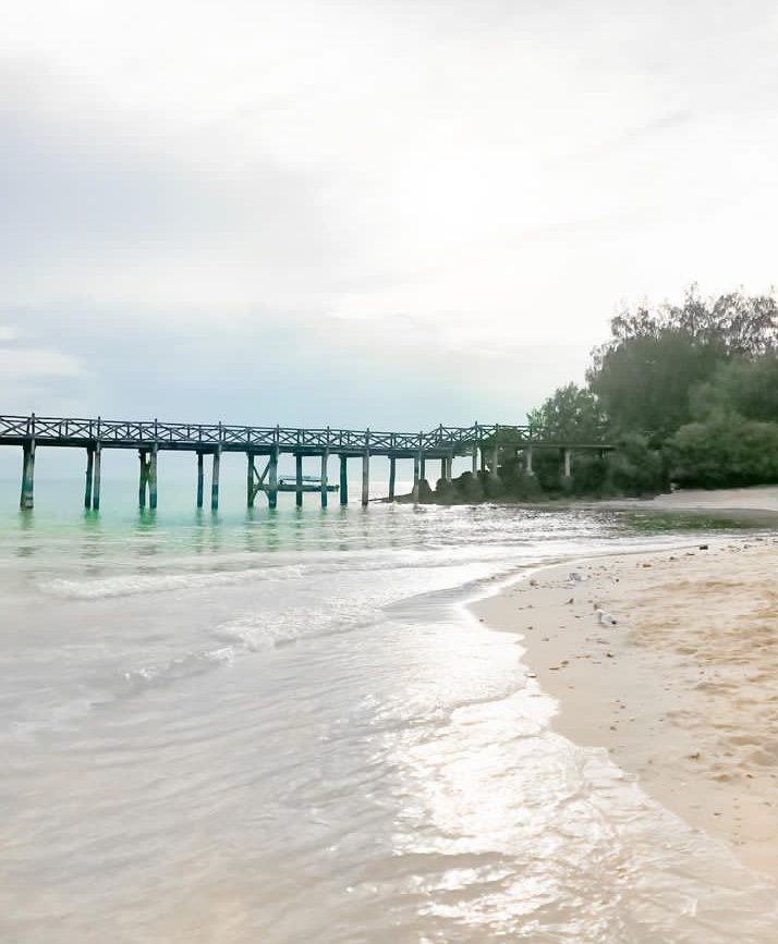 Cymo African Safaris 