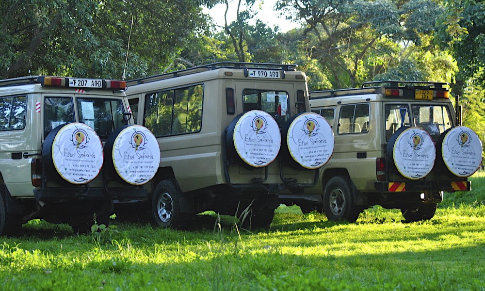Enzi Safaris Ltd