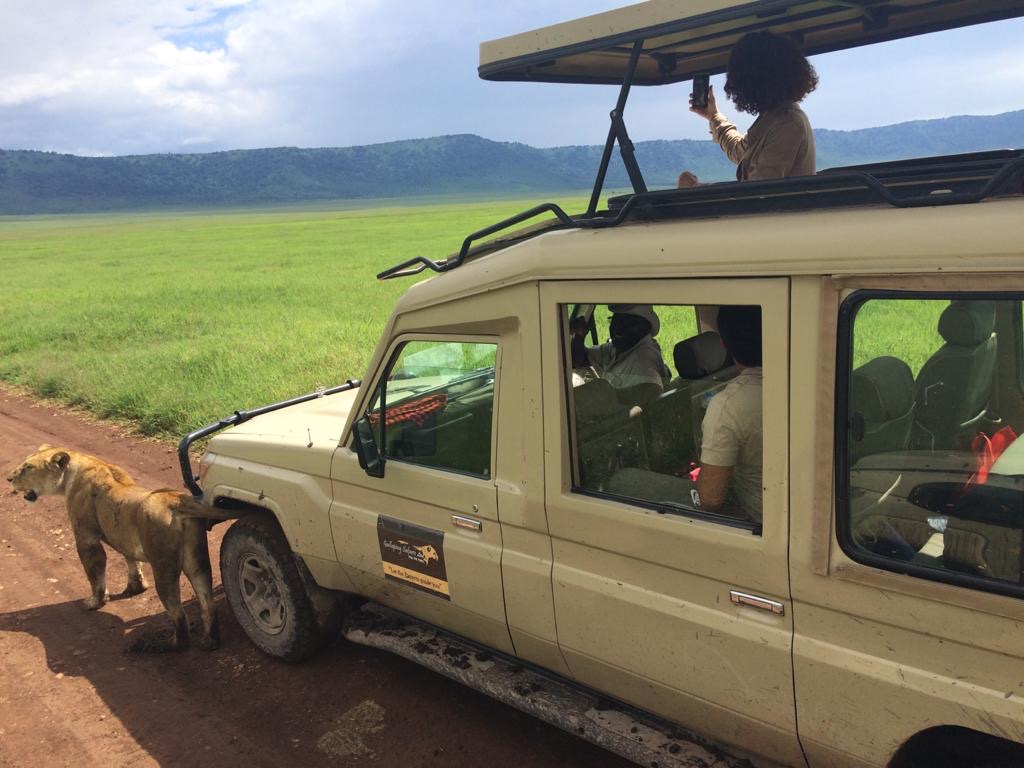 Galloping Safaris Ltd