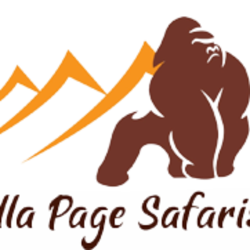 Gorilla Page Safaris