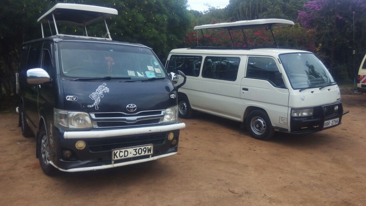 Judeson Budget Safaris