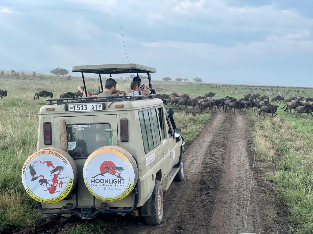 Moonlight Tours Expedition