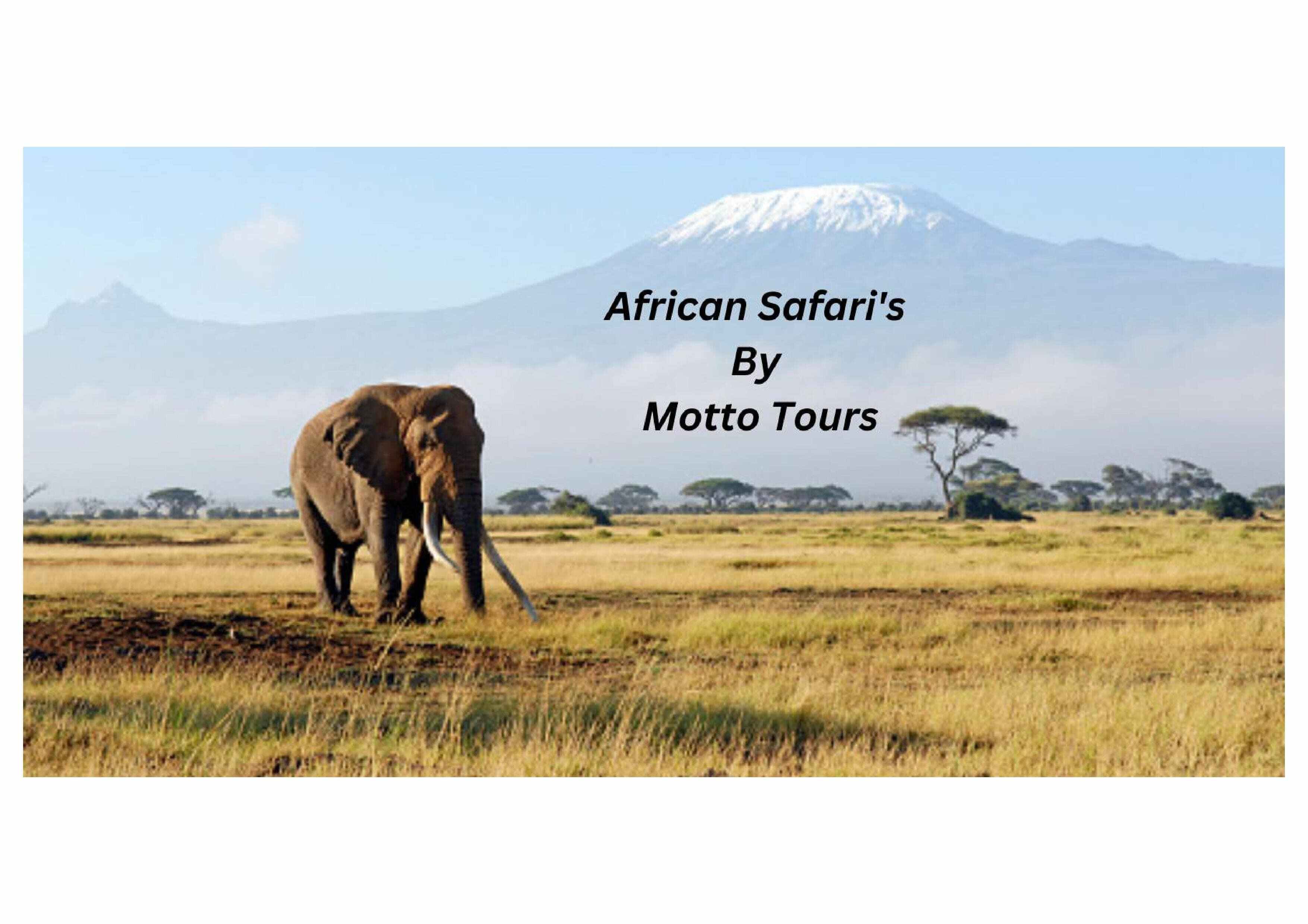 Motto Tours & Travel Ltd