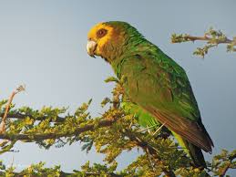 Muday Ethiopian Tours