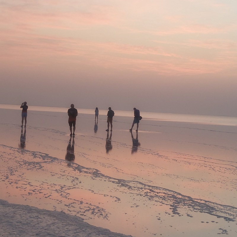 Nature Ethiopia Tours