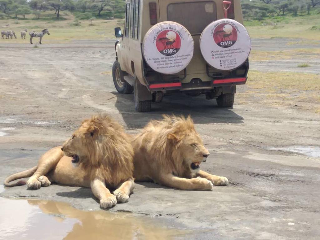 OMG SAFARIS AND TRAVEL