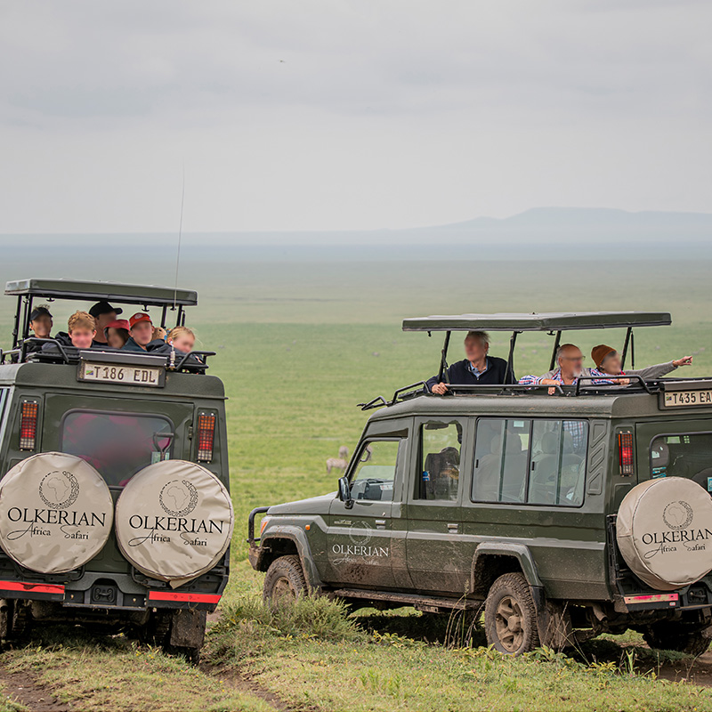 Olkerian Africa Safari
