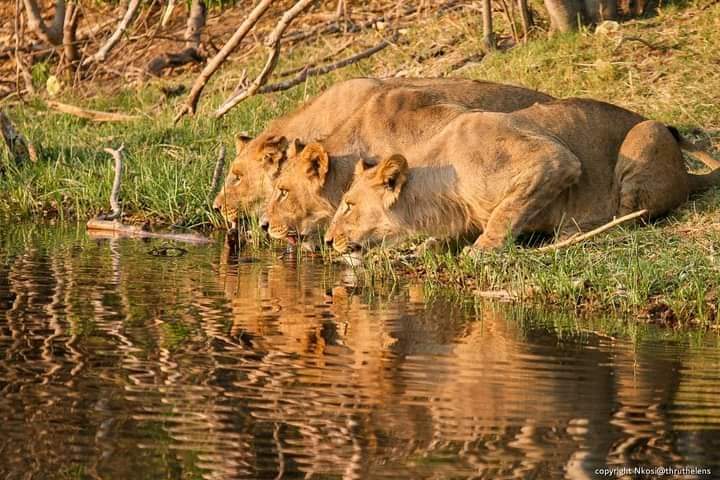 Palmroute Travel Agency