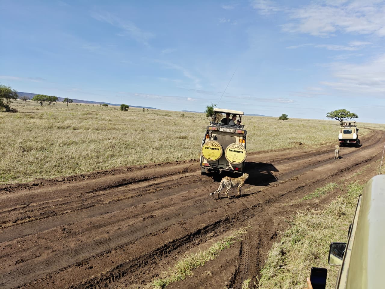 TOPMA TOURS AND SAFARIS LTD