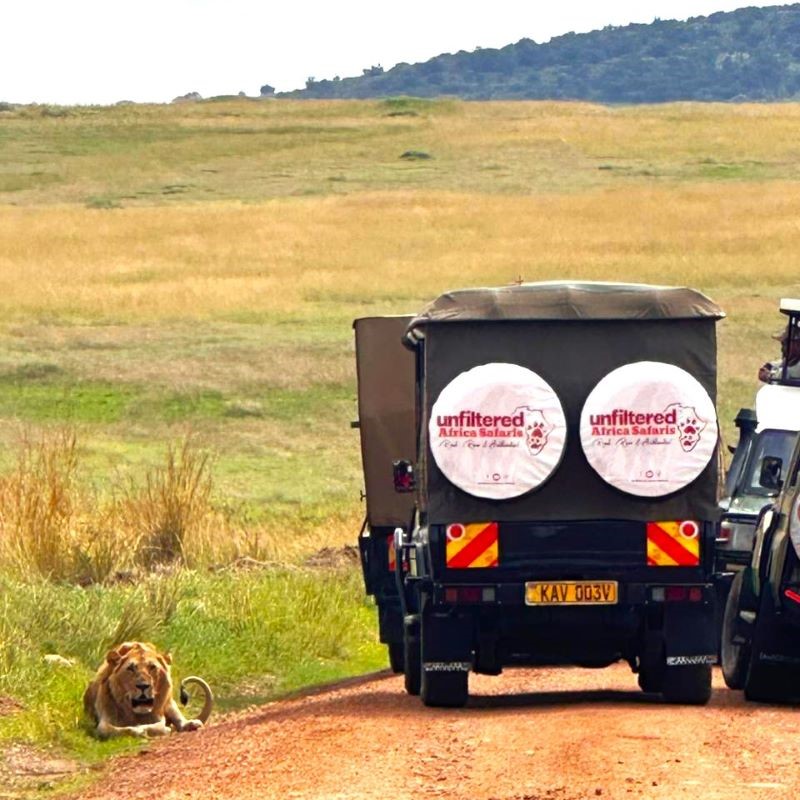 Unfiltered Africa Safaris