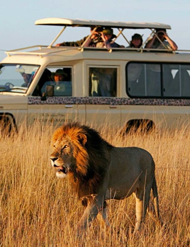 WILD PLANET TANZANIA SAFARIS LIMITED