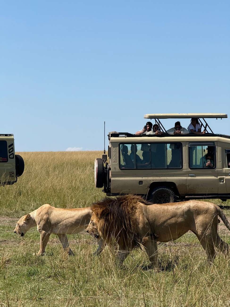 Winny safaris Africa