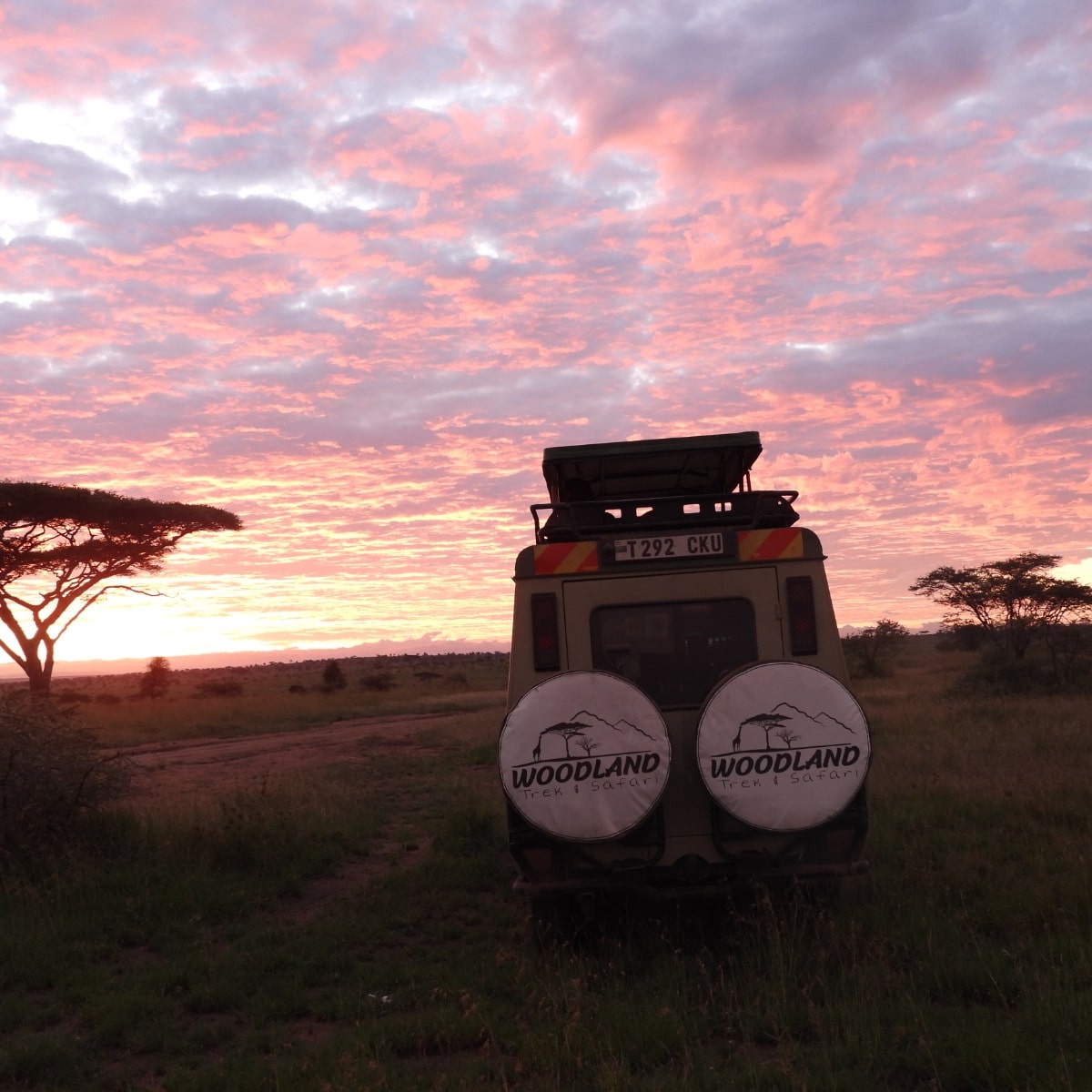 Woodland Trek & Safaris Ltd 