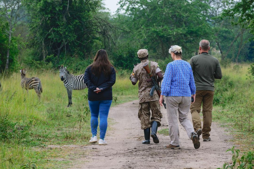 AFRICAN ROCK SAFARIS LIMITED gallery