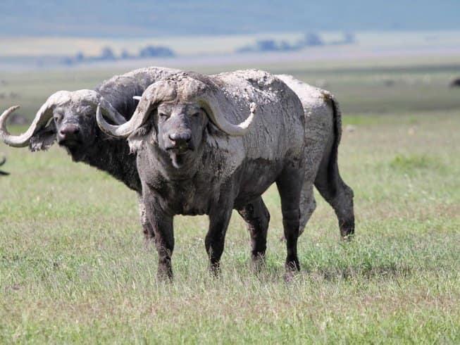 All Wheels Experience  gallery