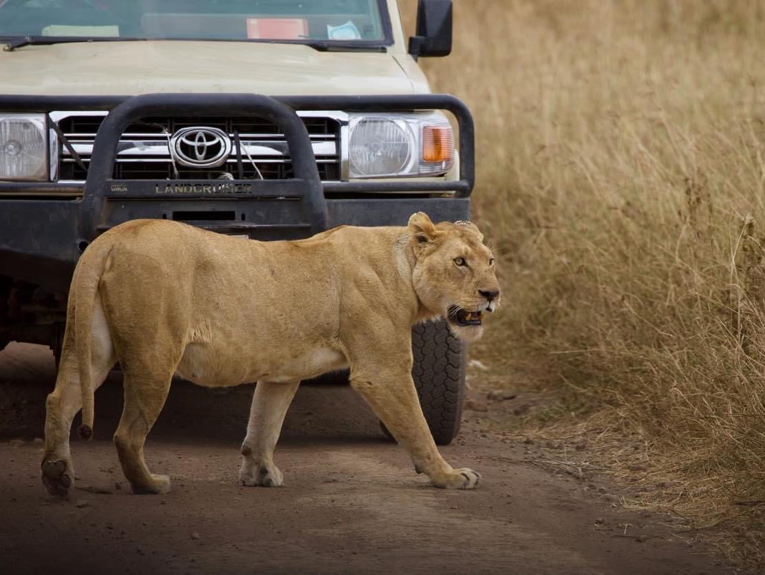 All Wheels Experience  gallery