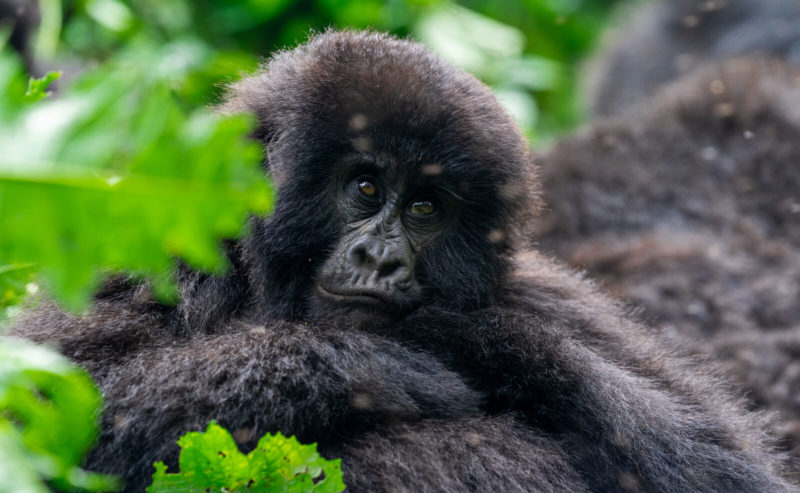 Discovery Journeys  gallery