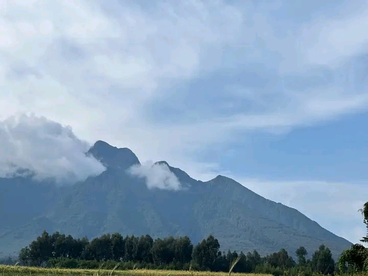 Ekibungo Tours And Safaris gallery