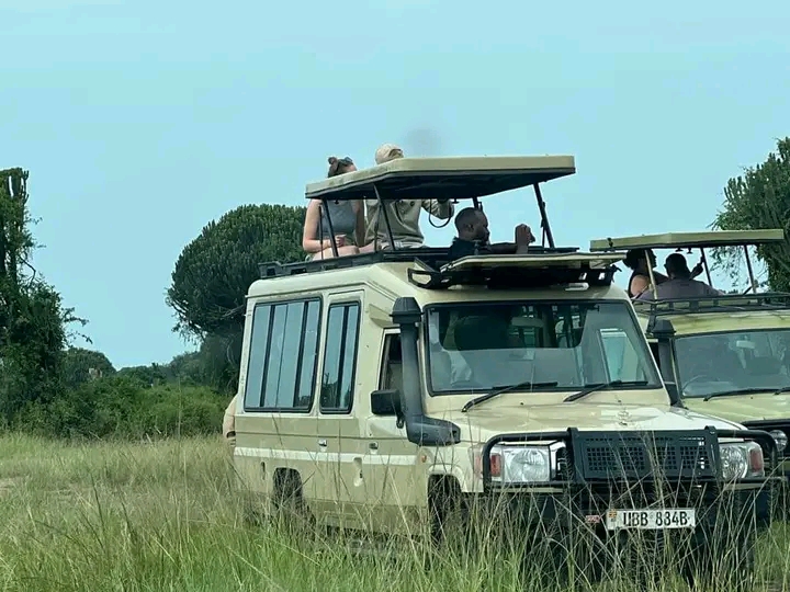Ekibungo Tours And Safaris gallery