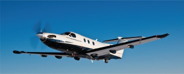 Epaulettes Safaris gallery